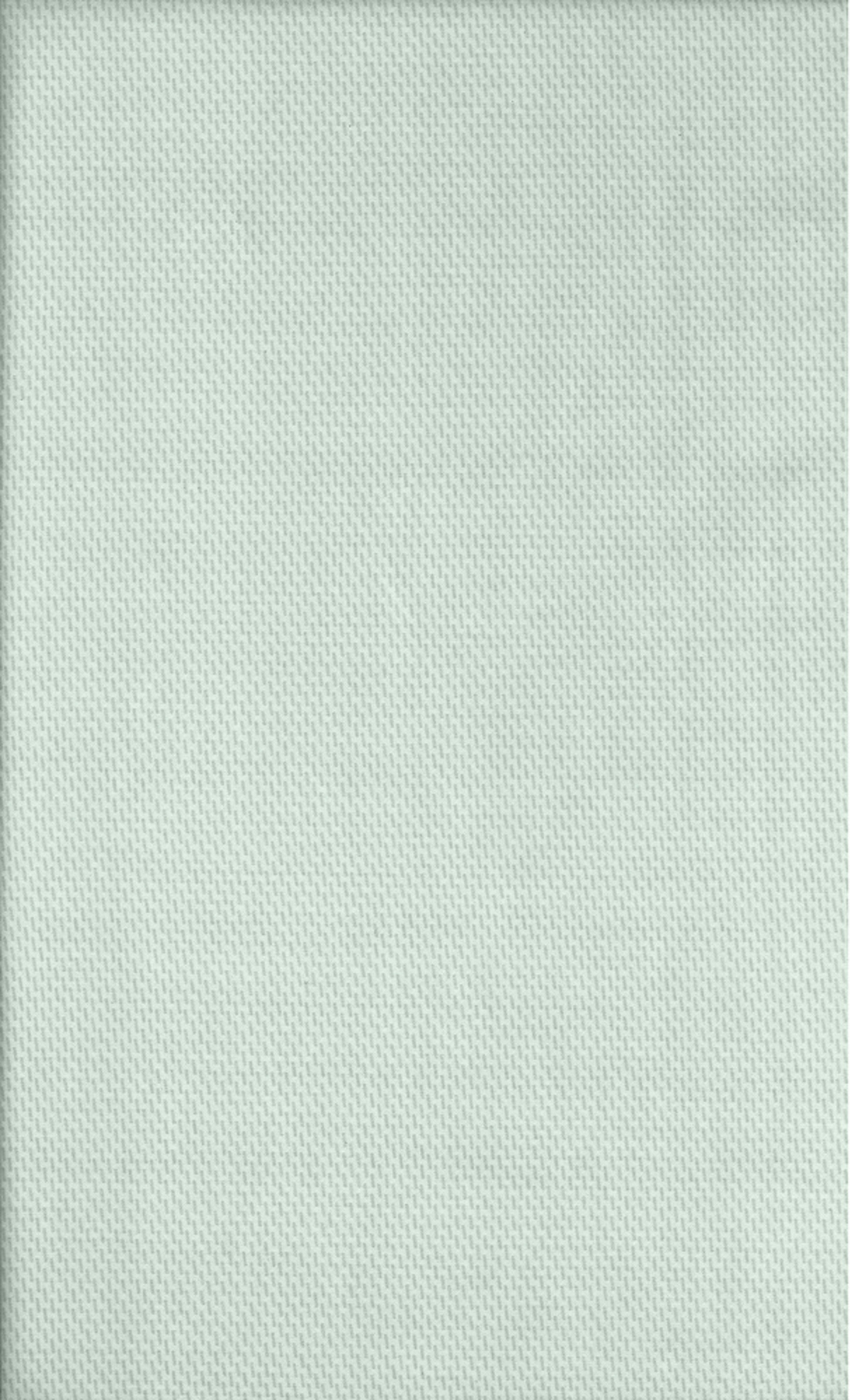 Guy Laroche Sentoni Minimal Mint 180x270cm